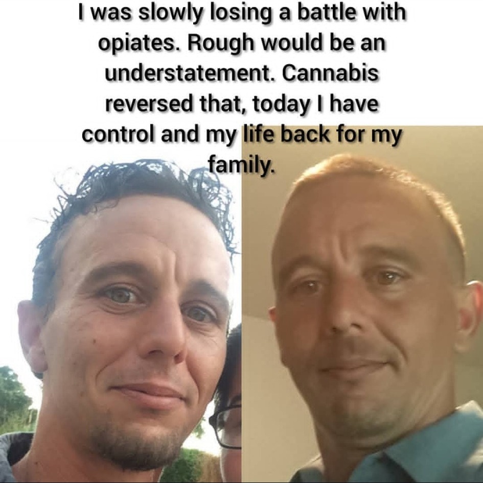 An archival before-and-after advocacy graphic stating that cannabis reversed Tracy's battle with opiates